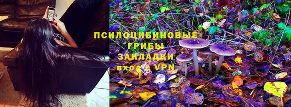 ПСИЛОЦИБИНОВЫЕ ГРИБЫ Армянск