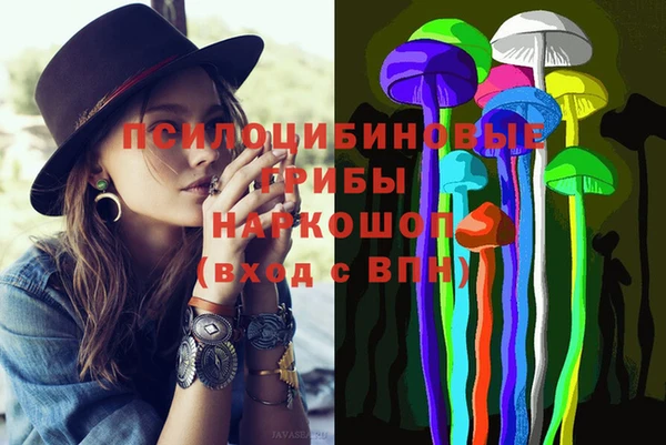 ПСИЛОЦИБИНОВЫЕ ГРИБЫ Армянск