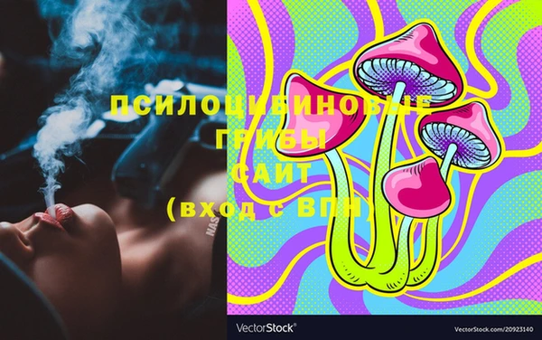 ПСИЛОЦИБИНОВЫЕ ГРИБЫ Армянск